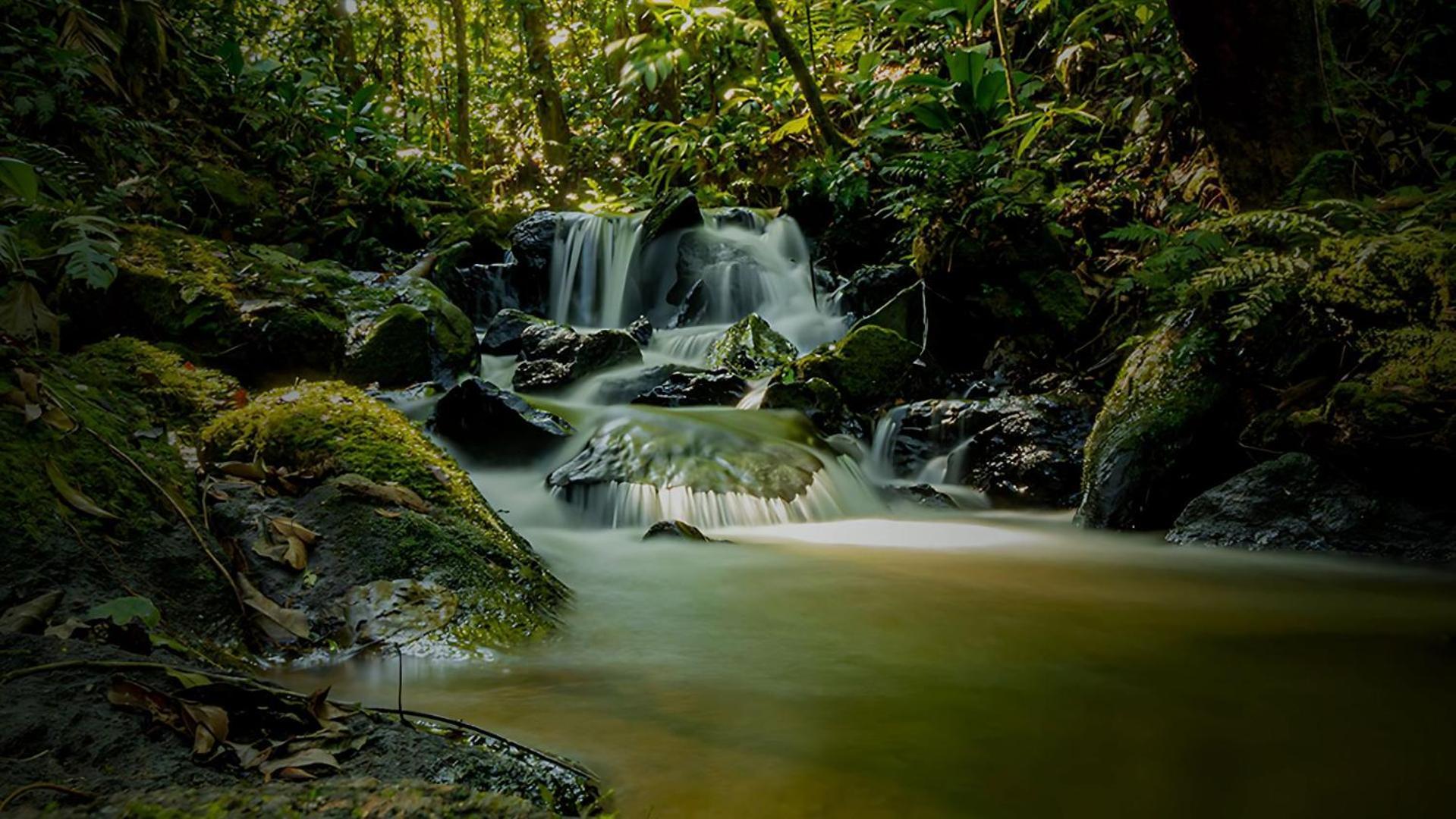 Hotel Fazenda Morros Verdes Ecolodge Ibiúna Eksteriør billede